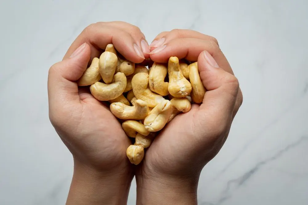 10 Surprising Benefits Of Eating Cashew On Empty Stomach